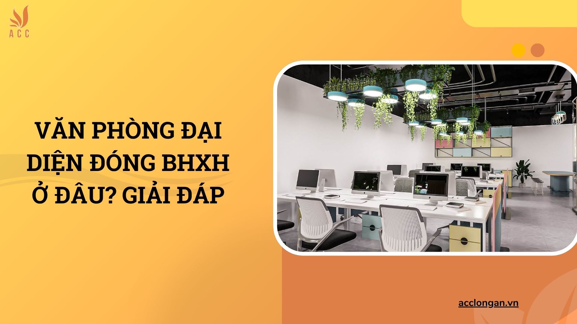 Văn phòng đại diện đóng BHXH ở đâu? Giải đáp