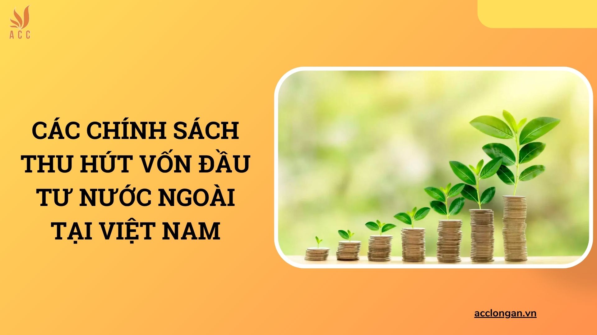 Các chính sách thu hút vốn đầu tư nước ngoài tại Việt Nam