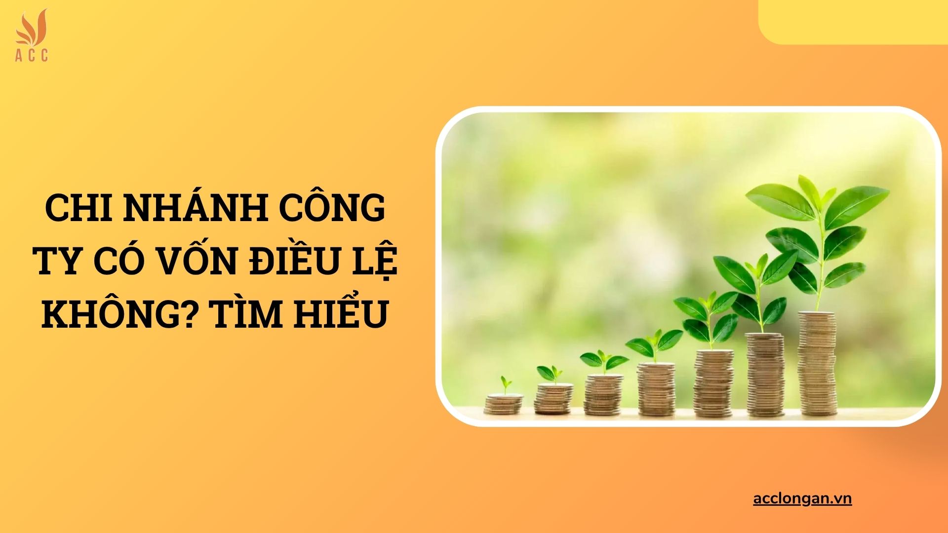 Chi nhánh công ty có vốn điều lệ không? Tìm hiểu