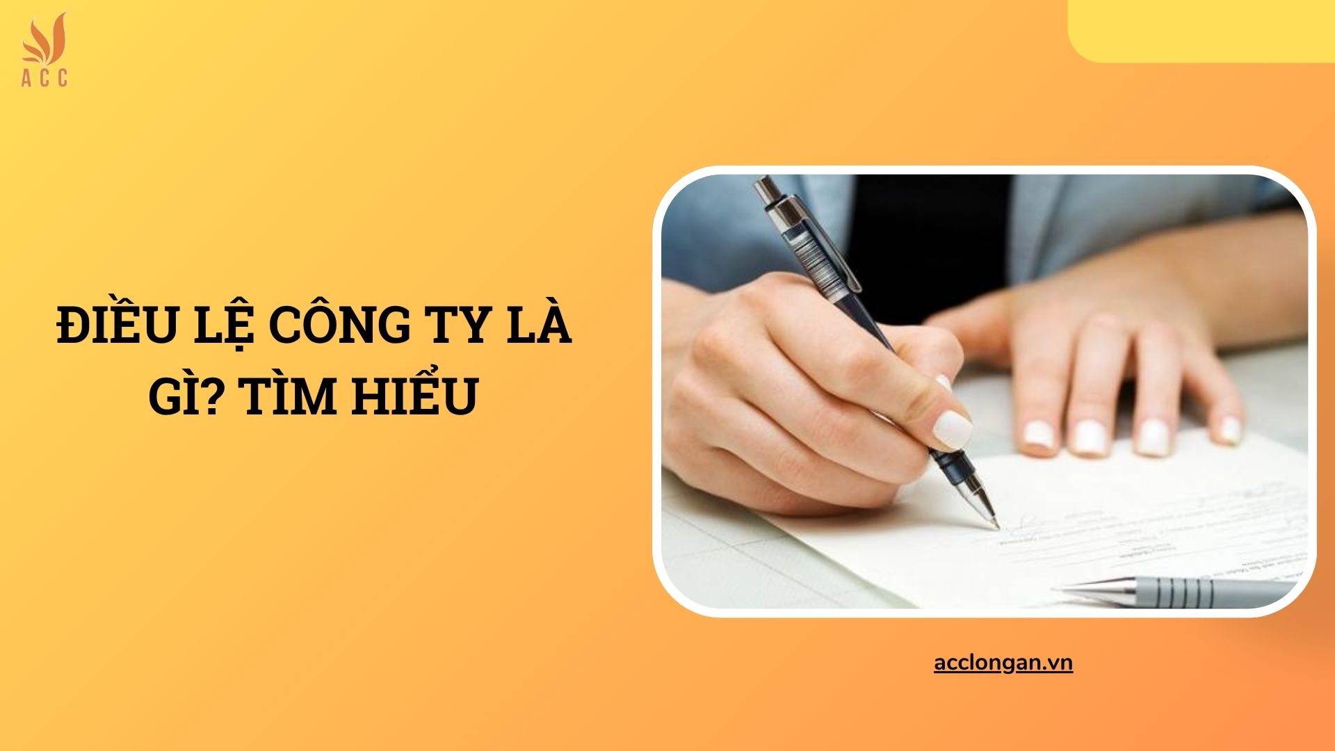 Điều lệ công ty là gì? Tìm hiểu