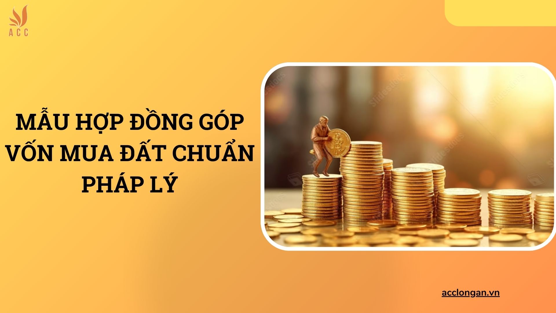 Mẫu hợp đồng góp vốn mua đất chuẩn pháp lý