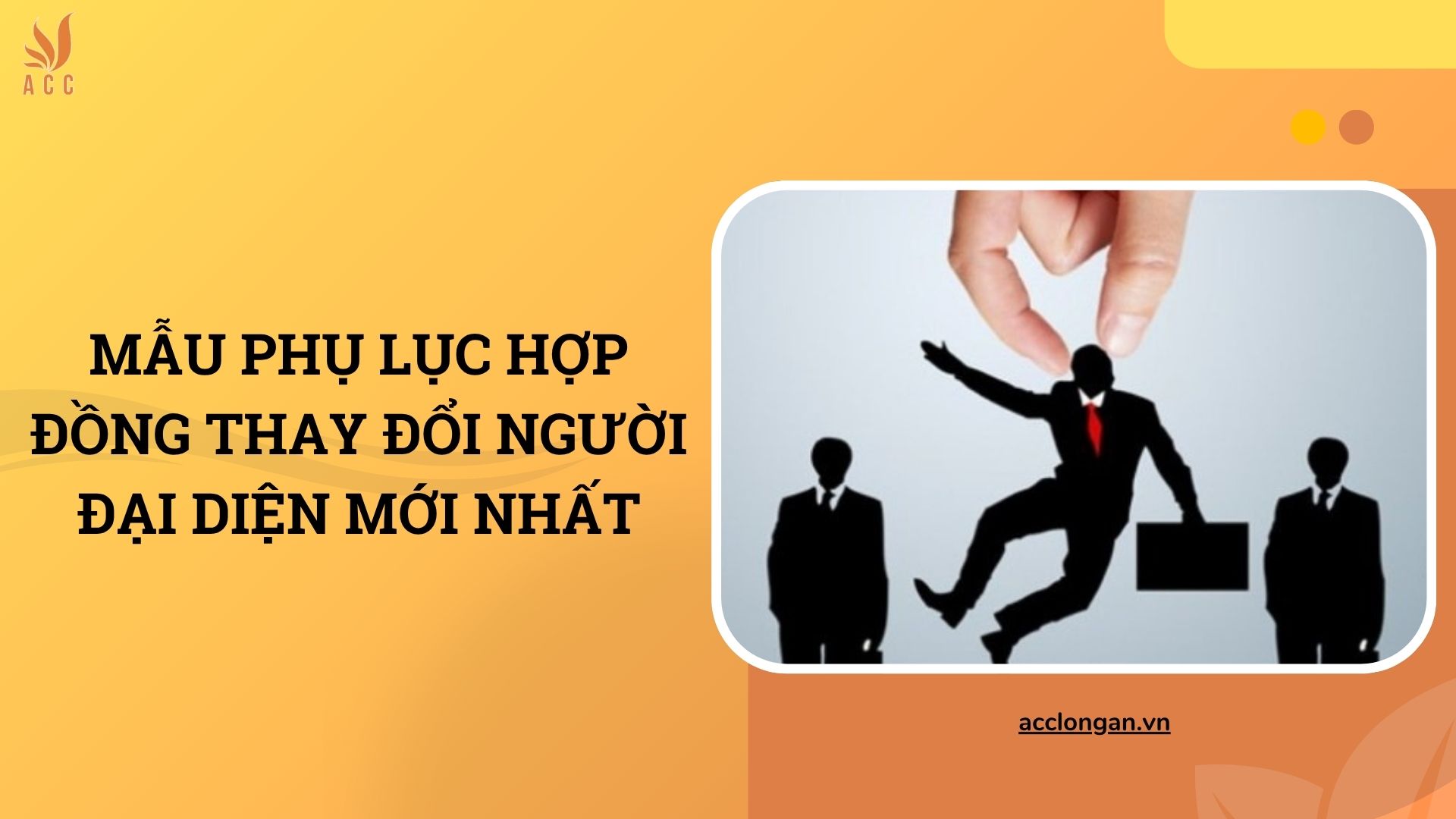 Mẫu phụ lục hợp đồng thay đổi người đại diện mới nhất