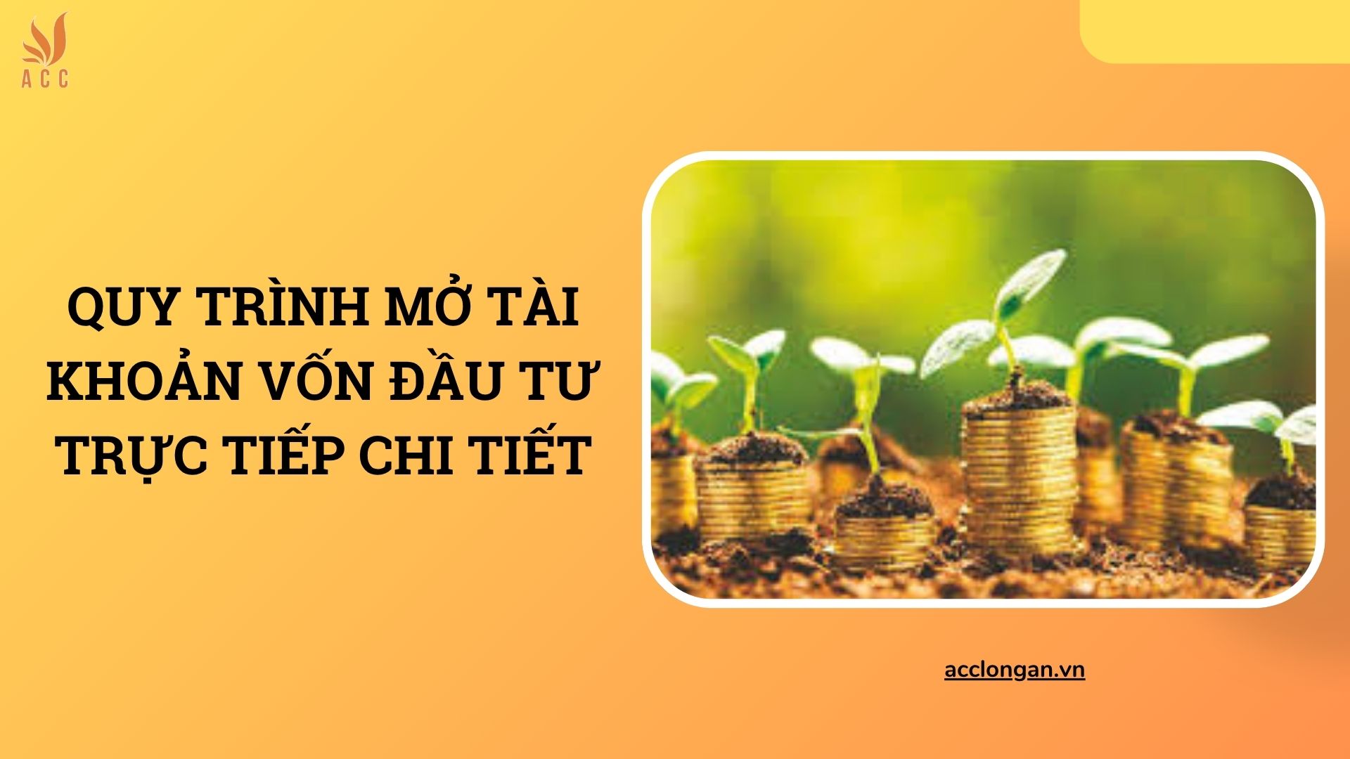 Quy trình mở tài khoản vốn đầu tư trực tiếp chi tiết