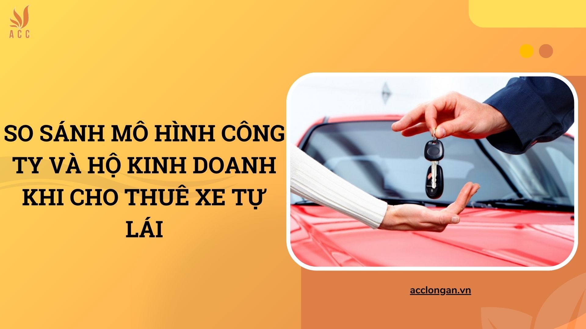 So sánh mô hình công ty và hộ kinh doanh khi cho thuê xe tự lái