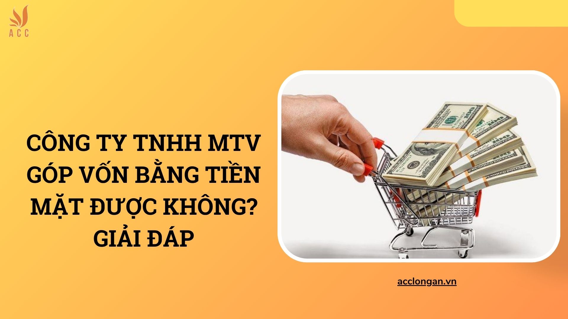 Công ty TNHH MTV góp vốn bằng tiền mặt được không? Giải đáp