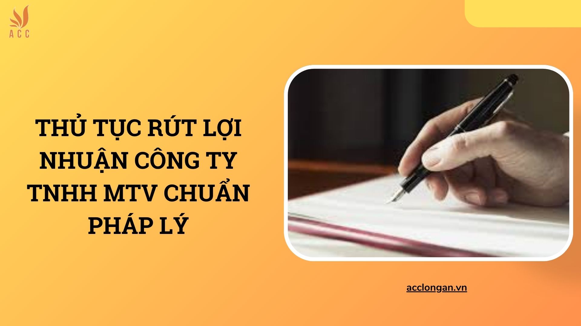 Thủ tục rút lợi nhuận công ty TNHH MTV chuẩn pháp lý