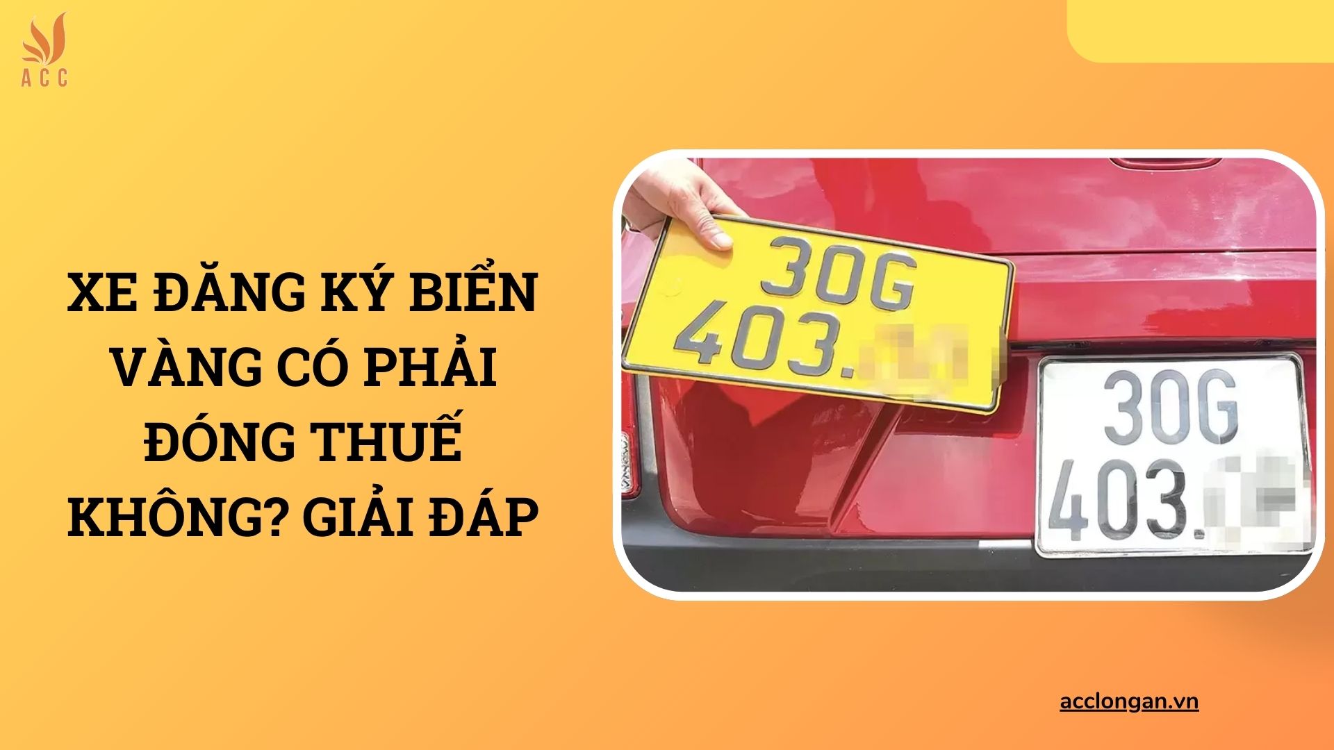 Xe đăng ký biển vàng có phải đóng thuế không? Giải đáp