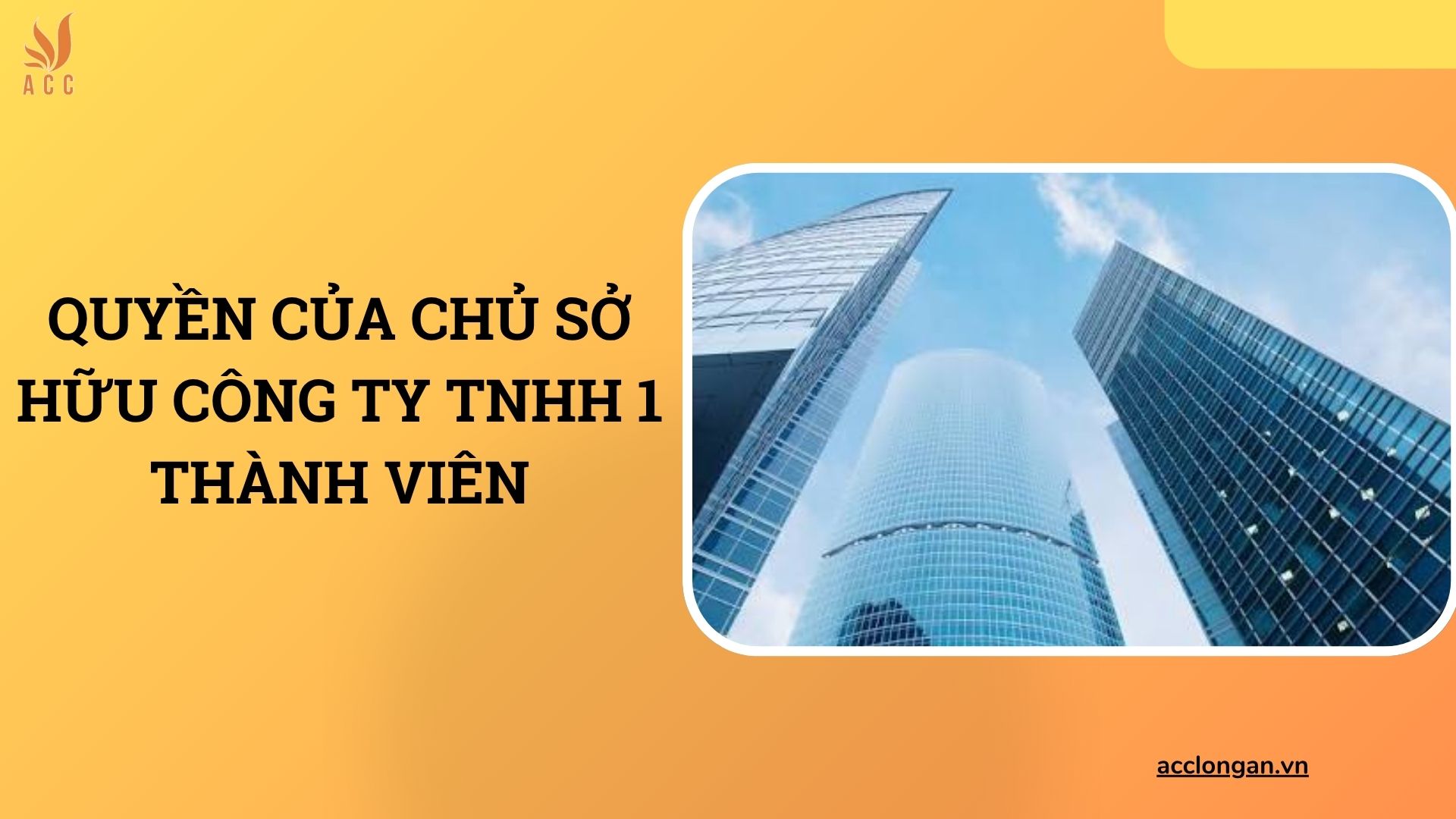 Quyền của chủ sở hữu công ty TNHH 1 thành viên